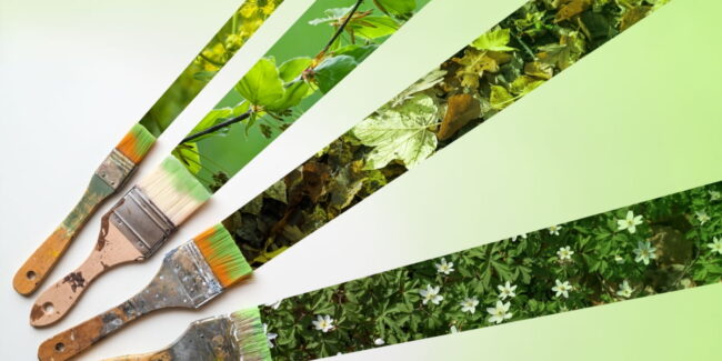 Shutterstock_2363564515 (1) Duurzaam schilderen: de toekomst van onderhoud