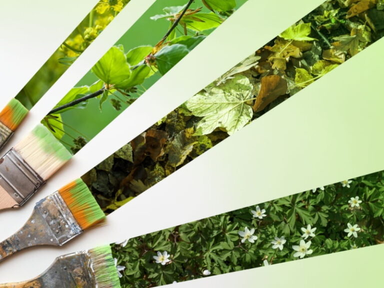 Duurzaam schilderen: de toekomst van onderhoud