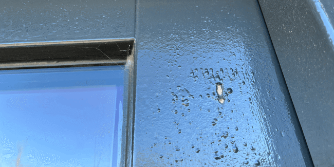 Uitdagingen met donkere verfkleuren op sapeli en sipo